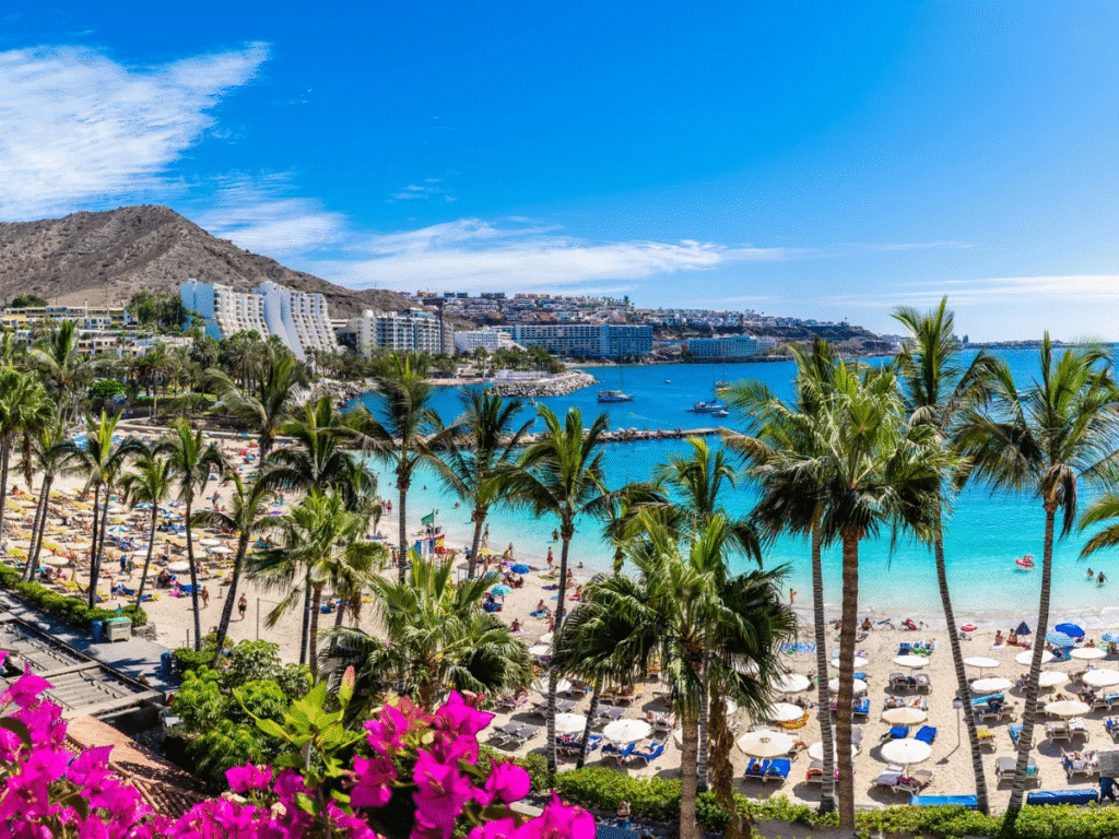 Canary Islands_6
