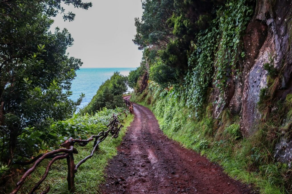 Trail-in-sao-jorge-scaled